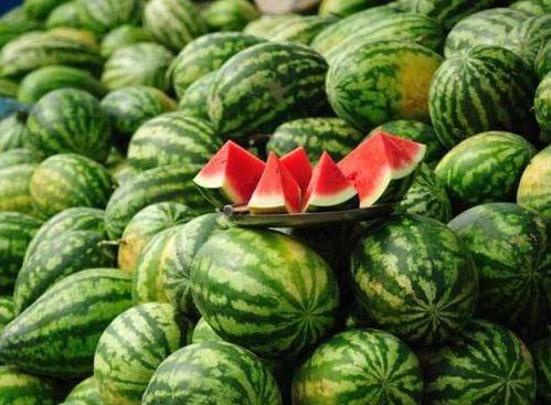 康县网红吃瓜事件,一场网络舆论的风暴与反思  第3张